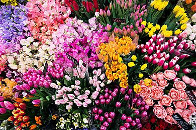 《火箭骑士历险记: 重闪合集》公开新要素预告