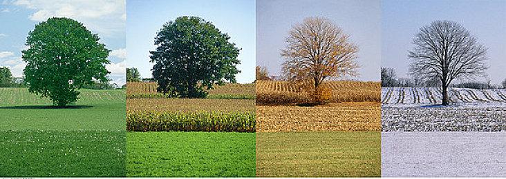 Steam新游周报：传奇射击刷宝游戏归来