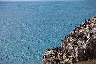 《真·女神转生Ⅴ Vengeance》今日全平台发售！发售纪念微博抽奖活动进行中